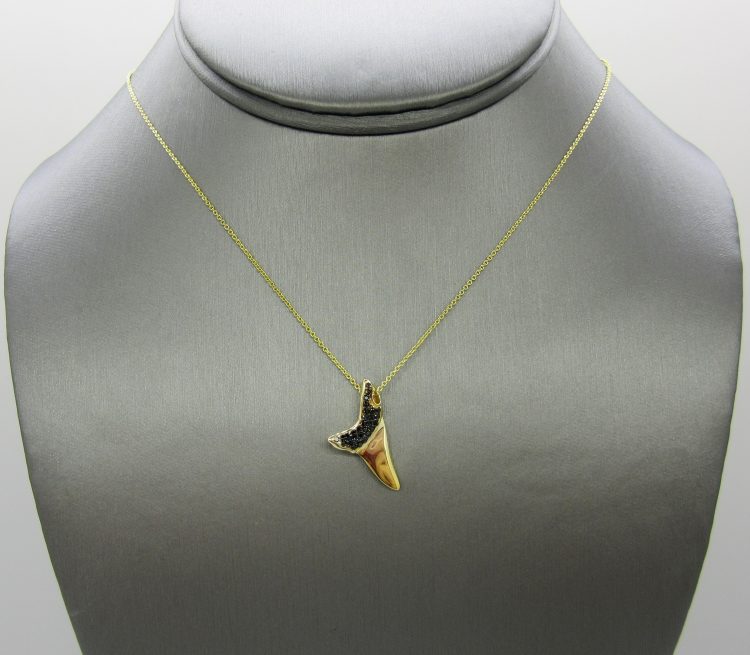 14k Yellow Gold Shark Tooth Necklace